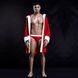 Мужской эротический костюм &ldquo;Обольстительный Санта&rdquo; One Size Red SO4977 фото 3
