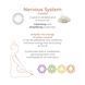Вагинальные шарики Adrien Lastic Harmony Stones SX1272 фото 16