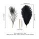 Лоскітка LOCKINK SEVANDA Natural Peacock Flirting Feather Tickler, перо павича SX0895 фото 5