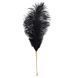 Лоскітка LOCKINK SEVANDA Natural Peacock Flirting Feather Tickler, перо павича SX0895 фото 3
